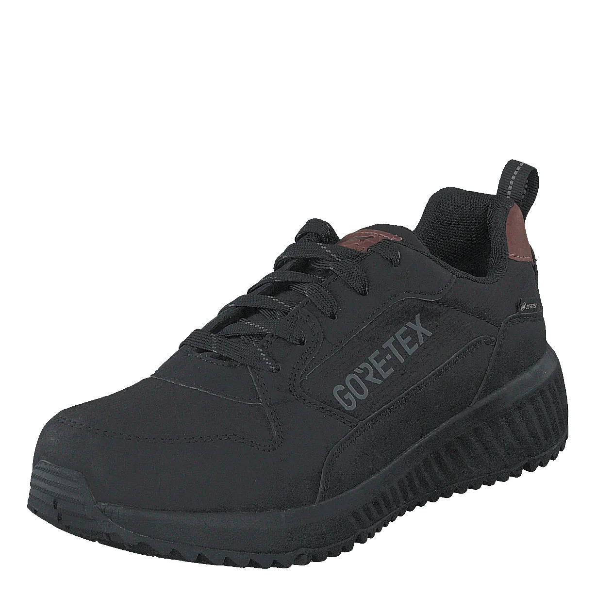 Arena Albertvil Gtx Black
