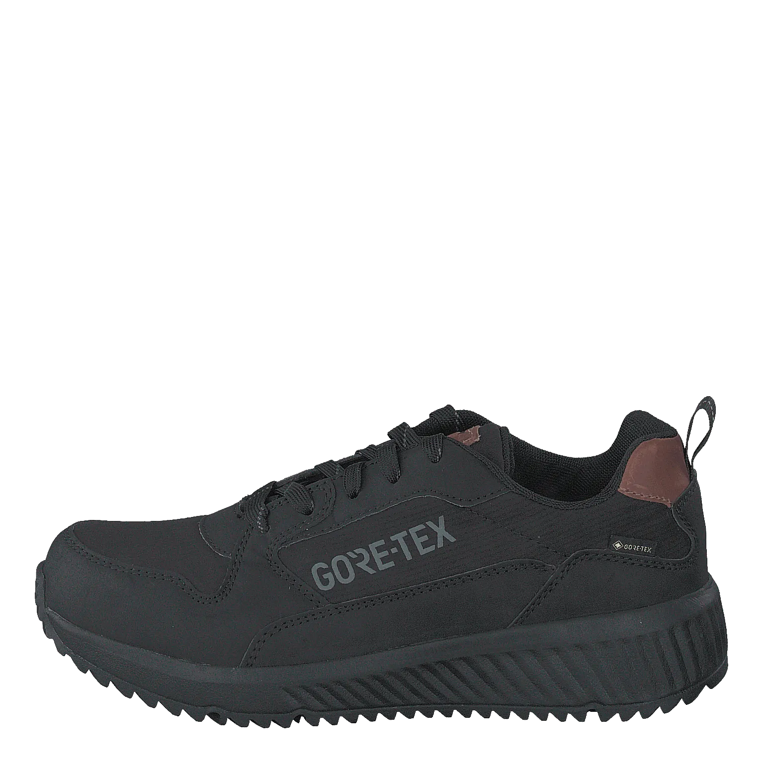Arena Albertvil Gtx Black