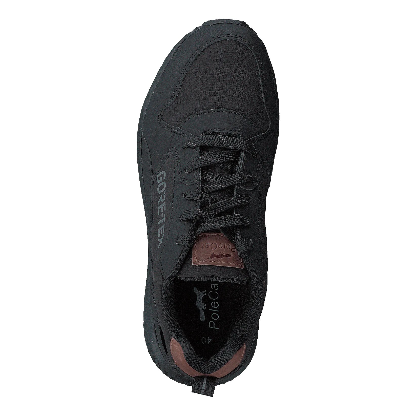 Arena Albertvil Gtx Black