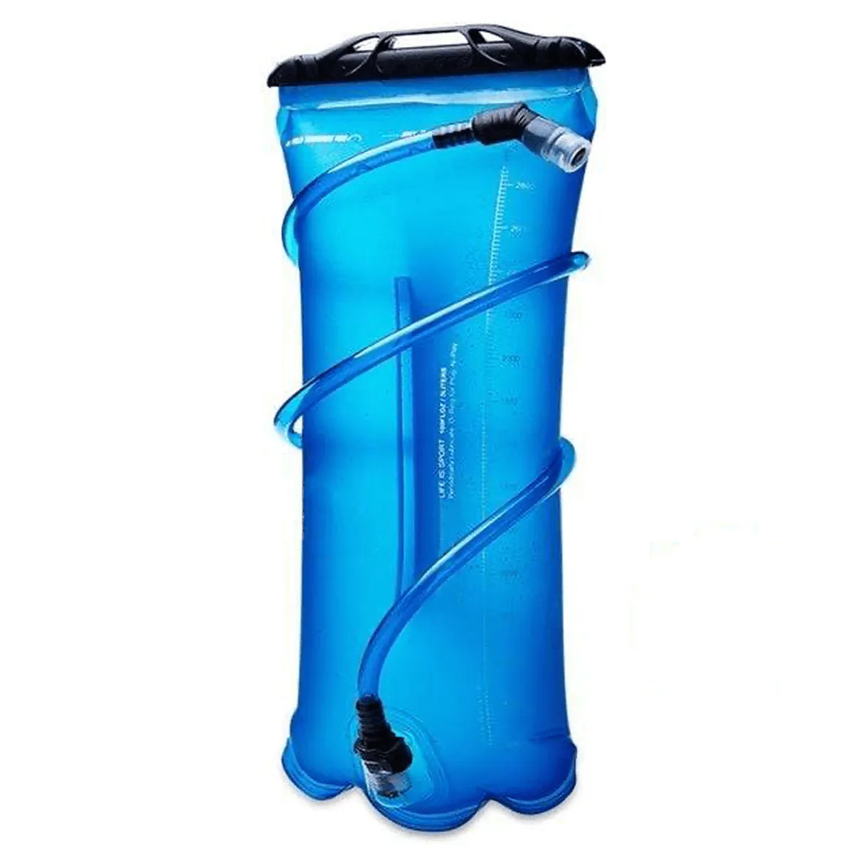 CATs Bladder III