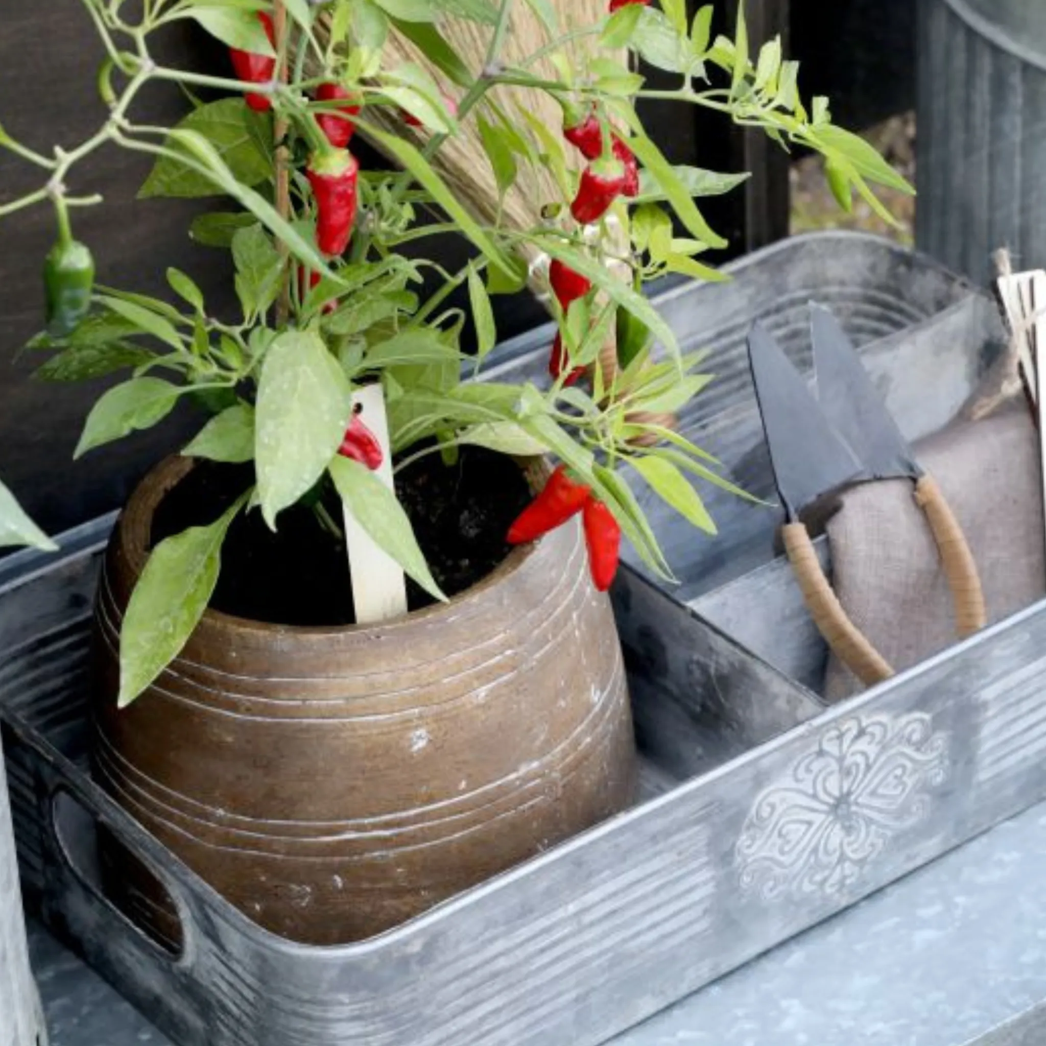 Chic Antique Zink bakke med blomst