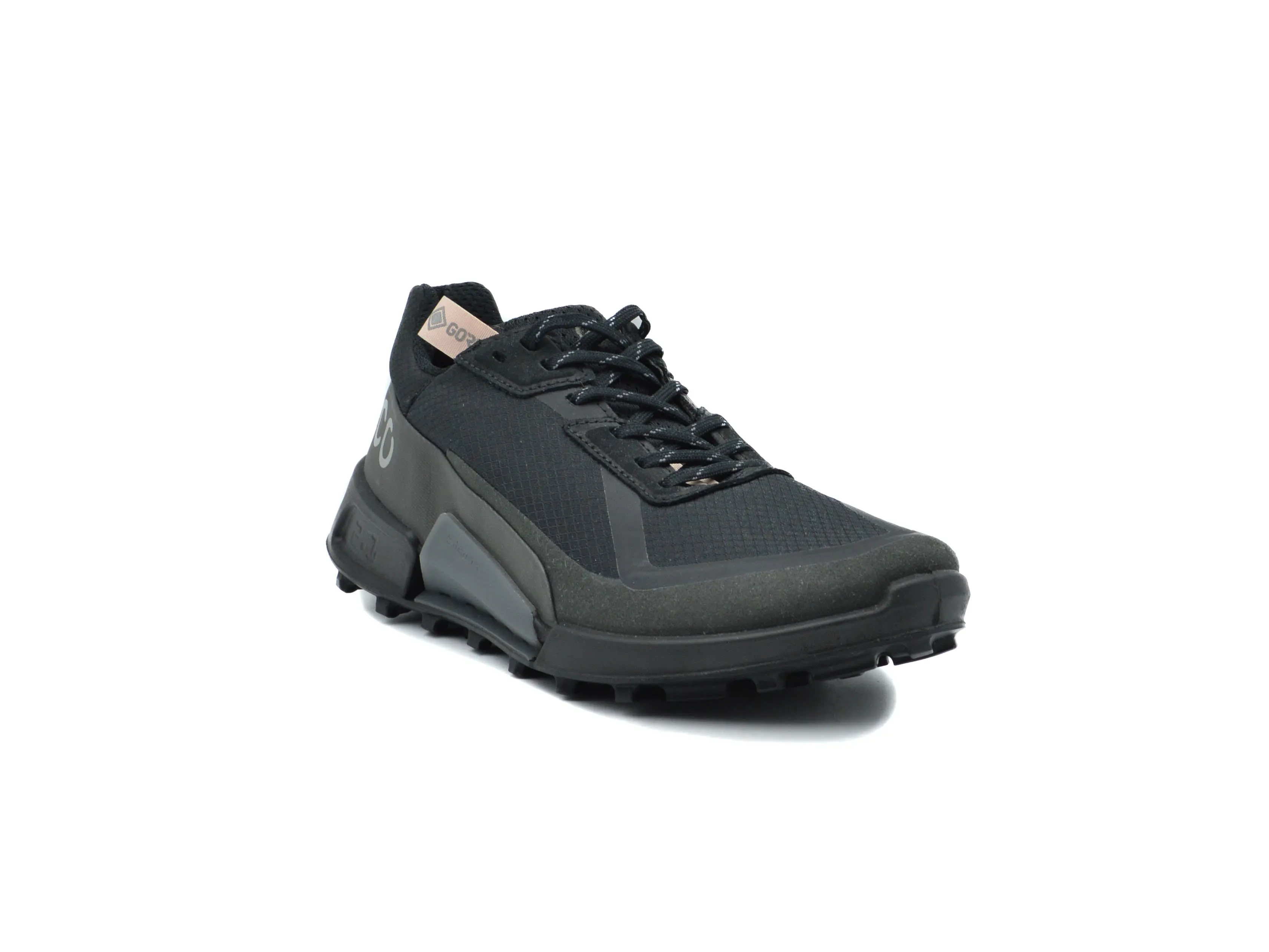 ECCO Biom 2.1 X Country