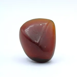 Indonesian Amber Specimen