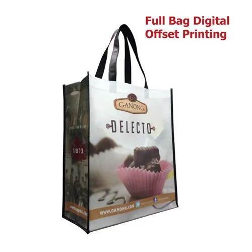Non Woven Trade Show Bag NWB007