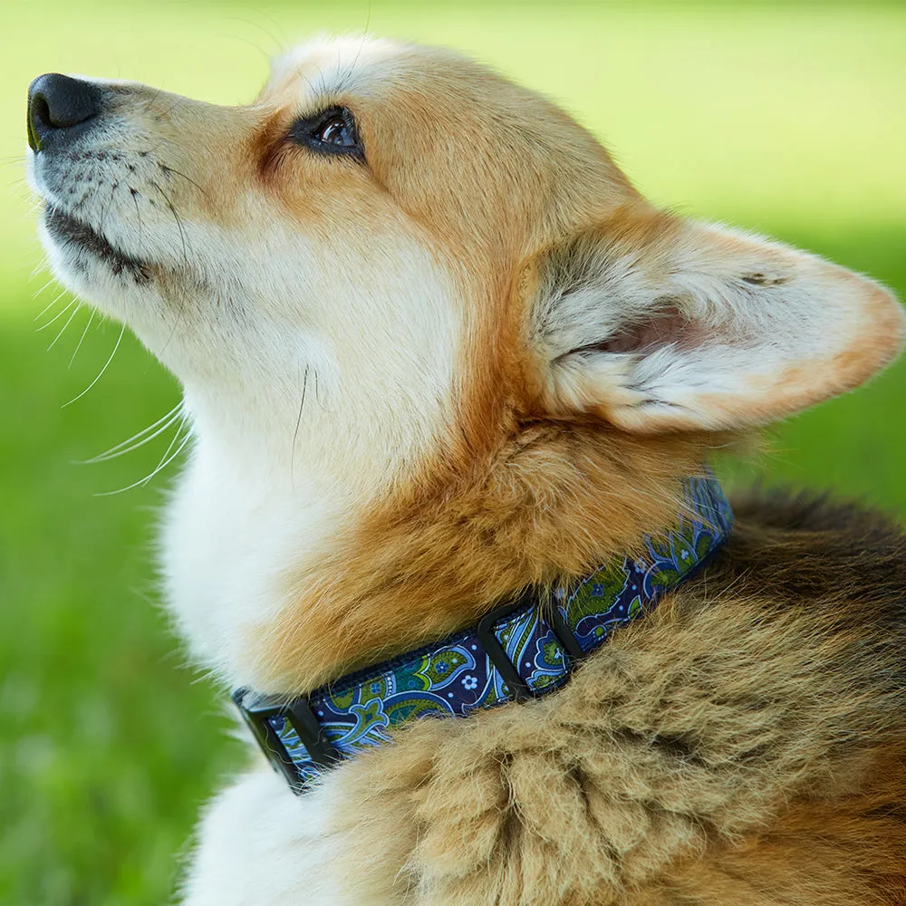 River Nore - Dog Collar
