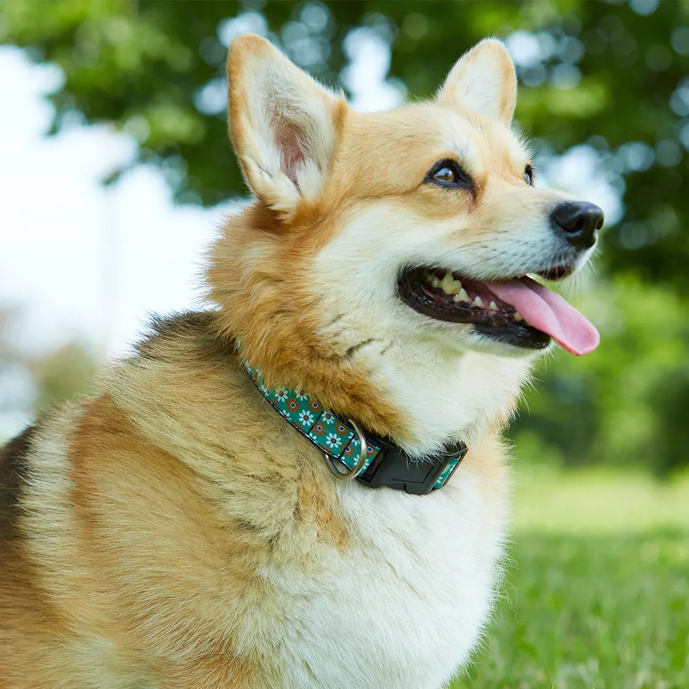 River Nore - Dog Collar