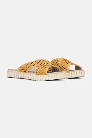 Sandalen - Golden Rod