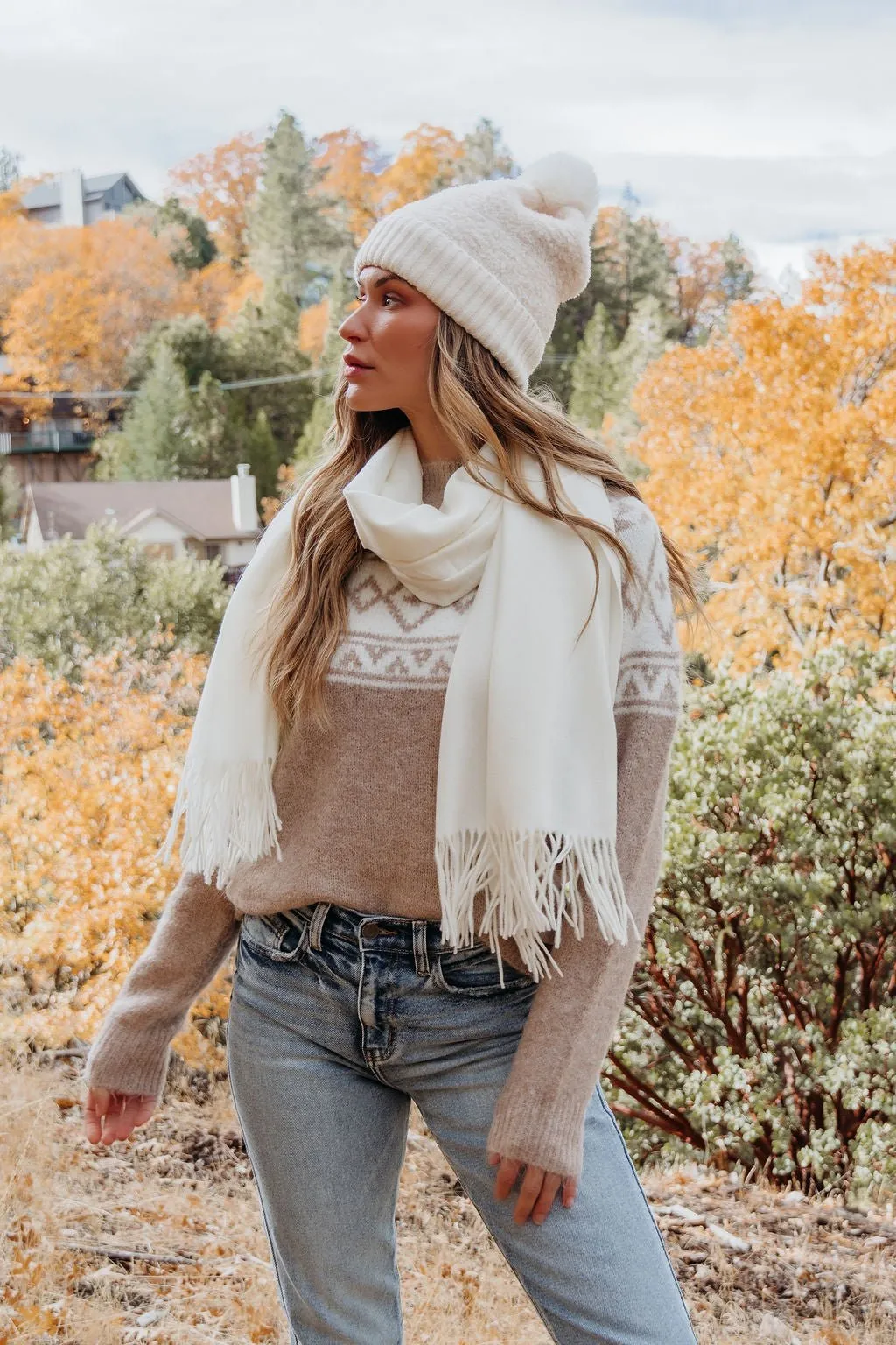 Taupe Aztec Print Mock Neck Sweater - FINAL SALE