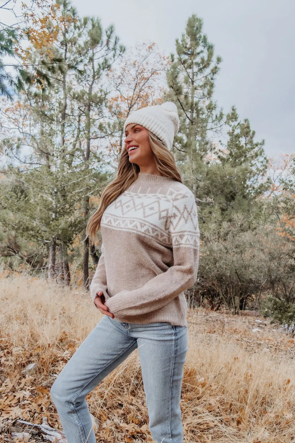 Taupe Aztec Print Mock Neck Sweater - FINAL SALE
