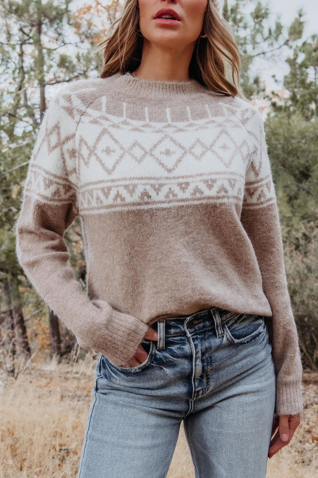 Taupe Aztec Print Mock Neck Sweater - FINAL SALE