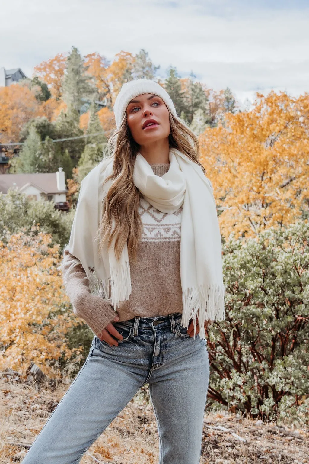 Taupe Aztec Print Mock Neck Sweater - FINAL SALE