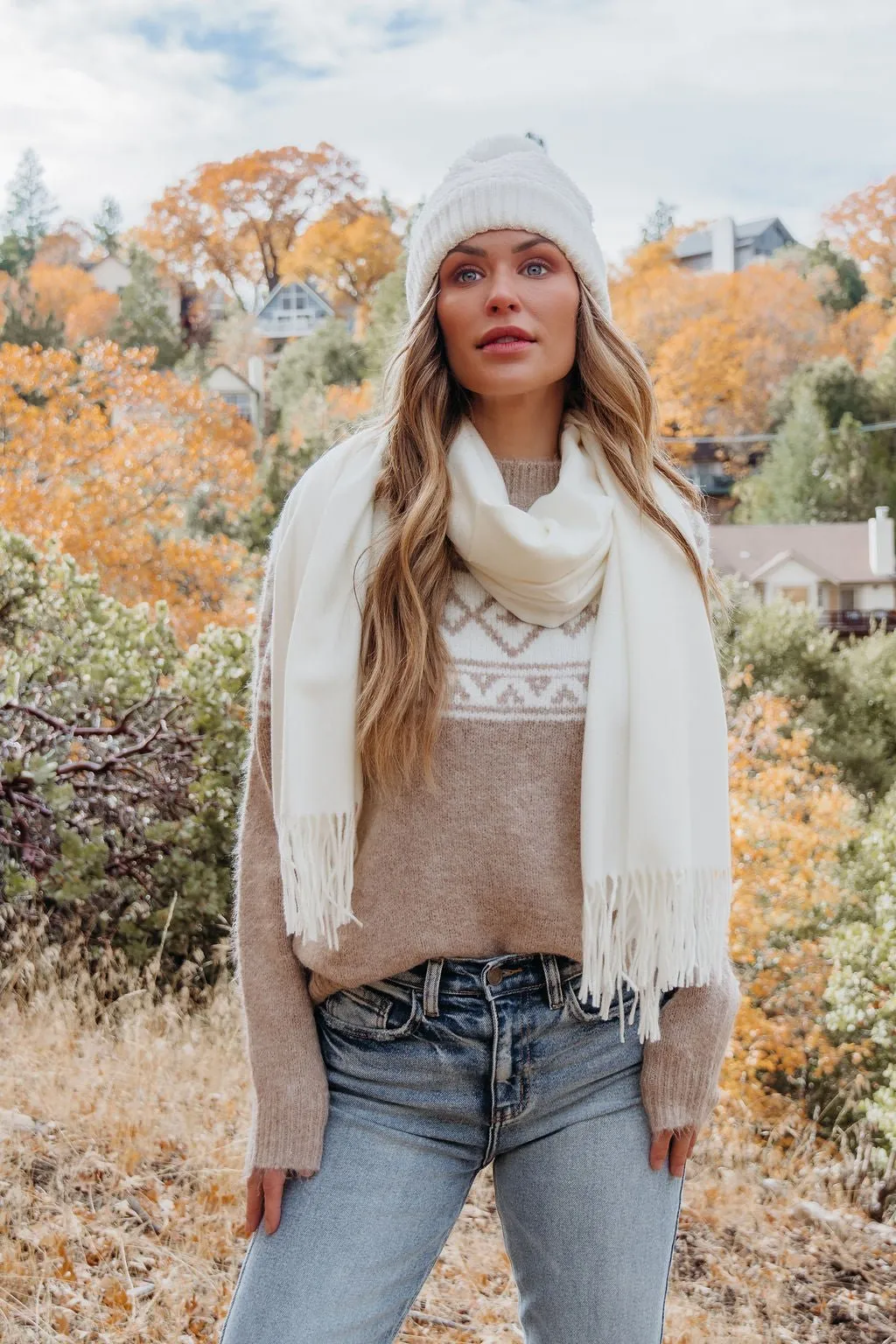 Taupe Aztec Print Mock Neck Sweater - FINAL SALE