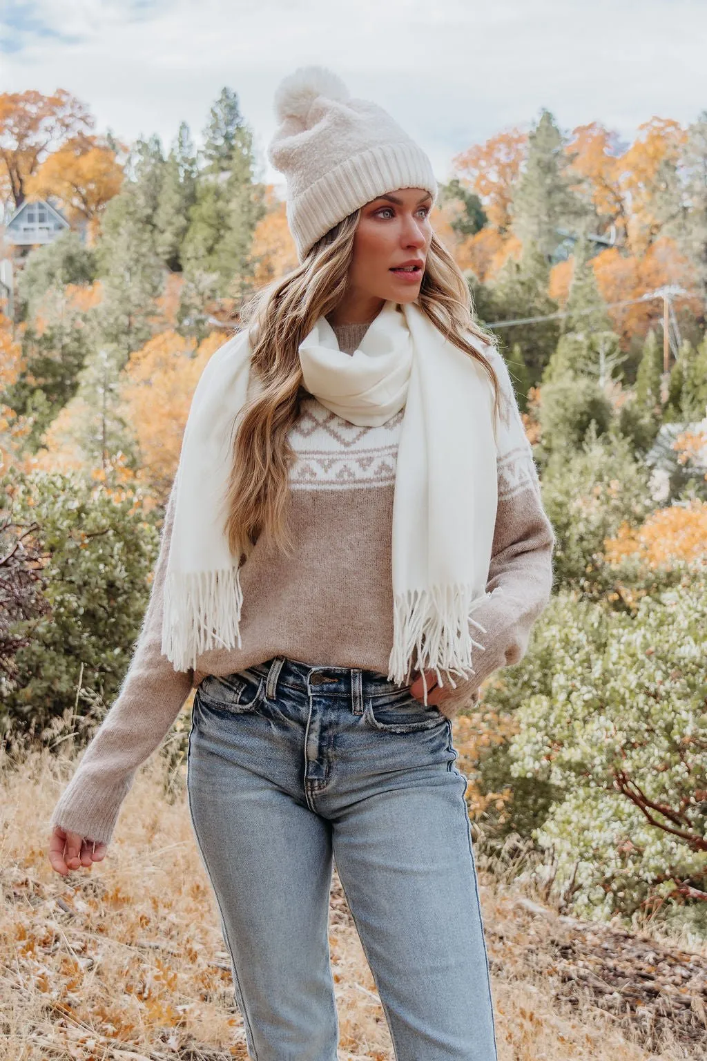 Taupe Aztec Print Mock Neck Sweater - FINAL SALE
