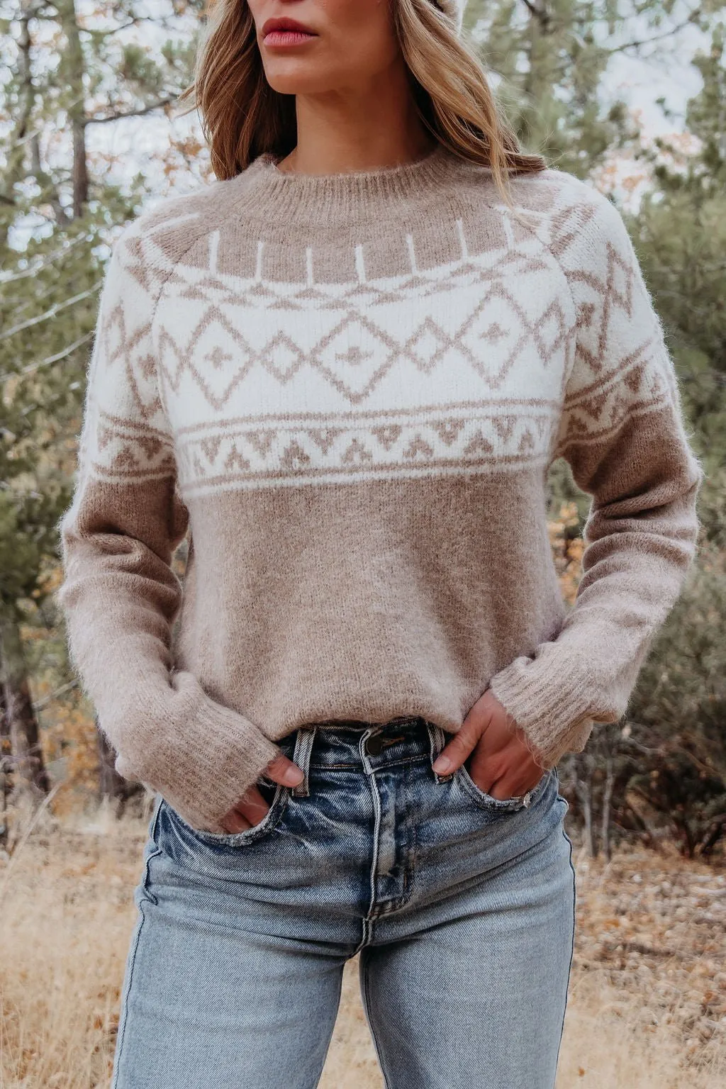 Taupe Aztec Print Mock Neck Sweater - FINAL SALE