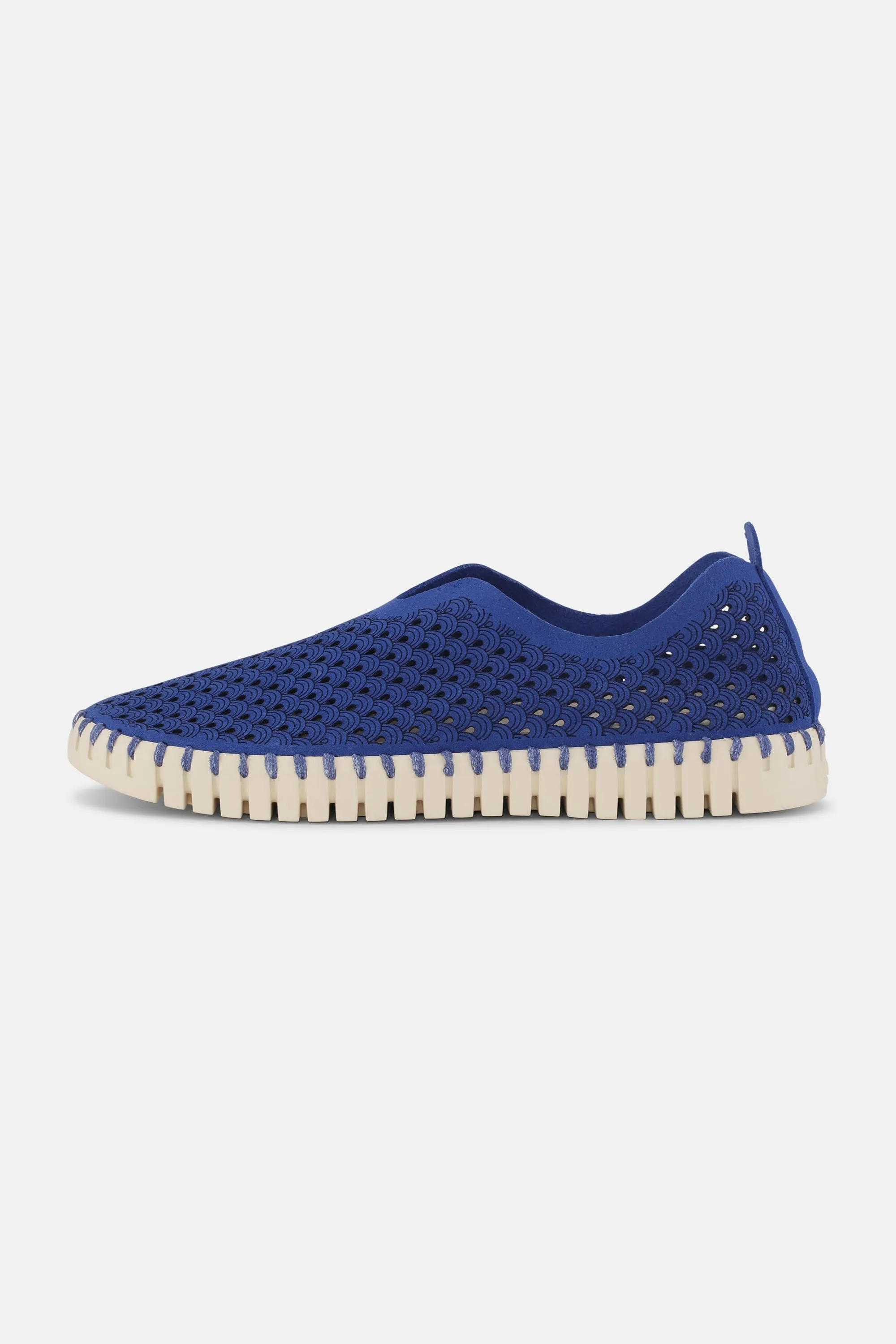 Tulip Slipper - Blue Web